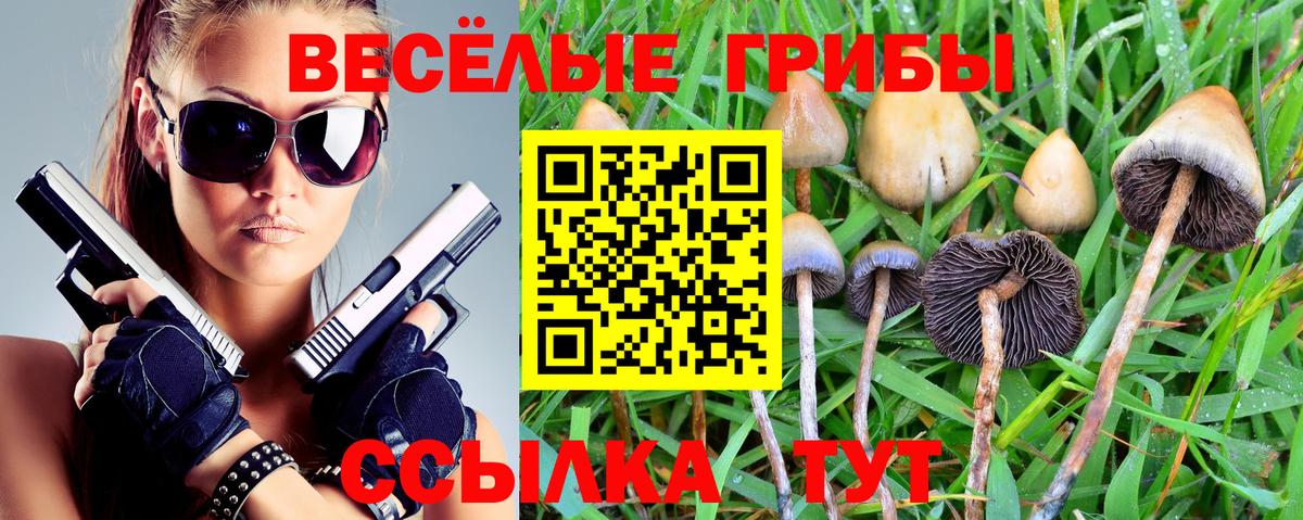 Юрга  Галлюциногенные грибы Psilocybine cubensis  Вход с VPN 